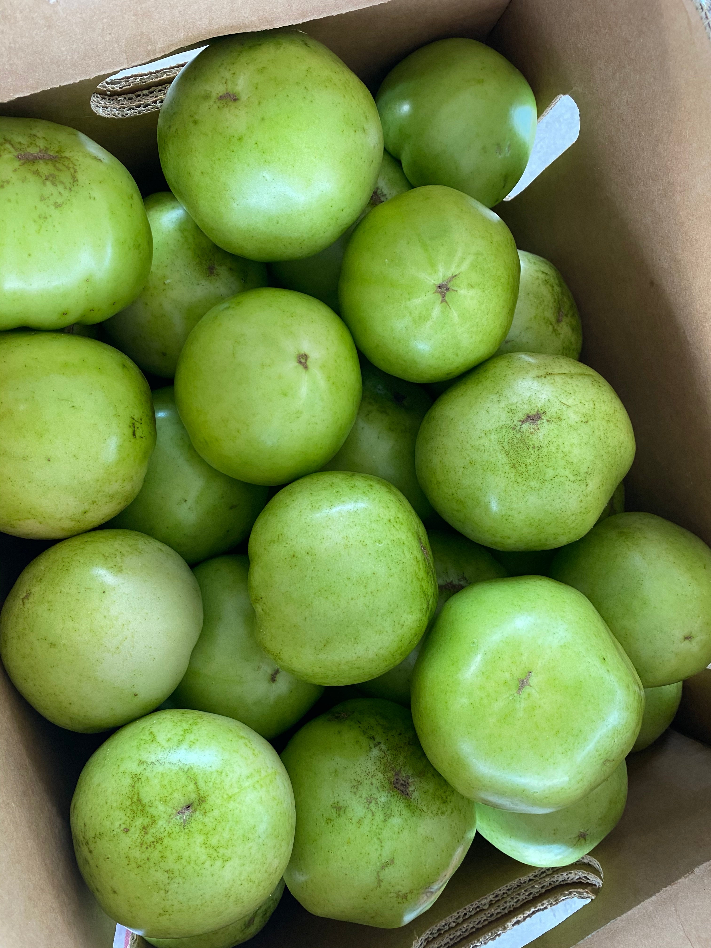 Tomatoes, green | Mick Farms
