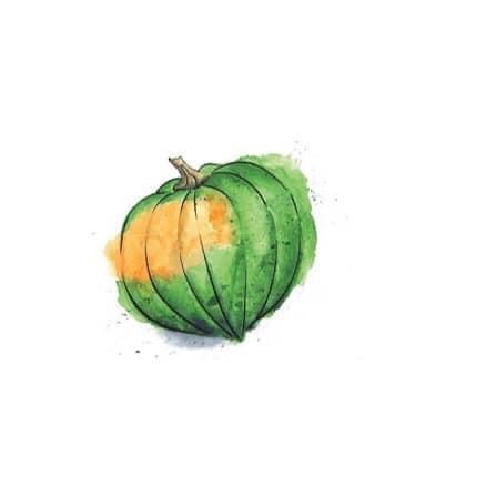 Squash, acorn | Mick Farms